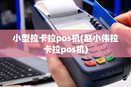 小型拉卡拉pos机(赵小伟拉卡拉pos机)