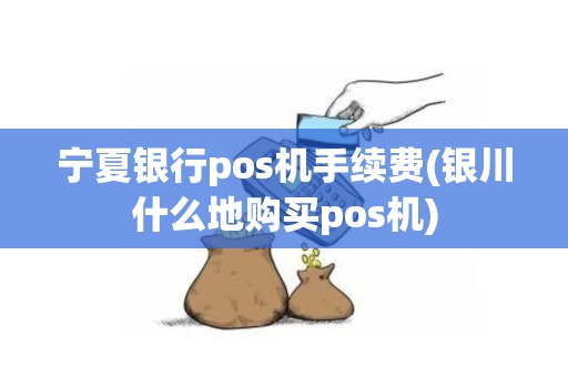 宁夏银行pos机手续费(银川什么地购买pos机)