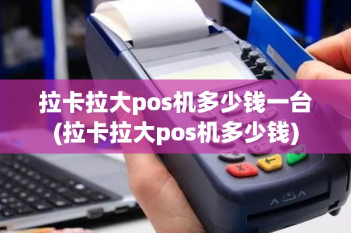 拉卡拉大pos机多少钱一台(拉卡拉大pos机多少钱)