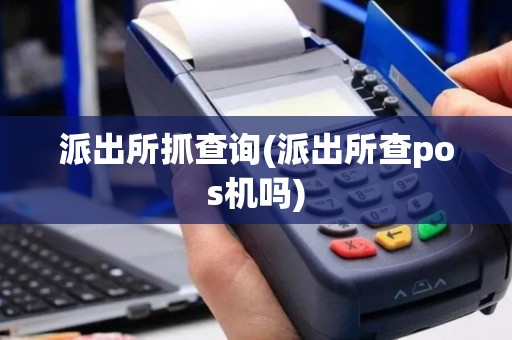 派出所抓查询(派出所查pos机吗)