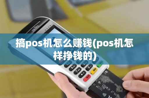 搞pos机怎么赚钱(pos机怎样挣钱的)