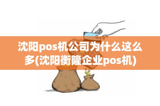 沈阳pos机公司为什么这么多(沈阳衡隆企业pos机)