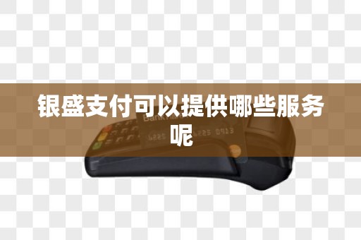 银盛支付可以提供哪些服务呢