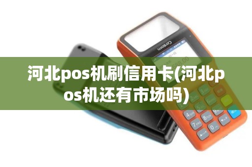 河北pos机刷信用卡(河北pos机还有市场吗)