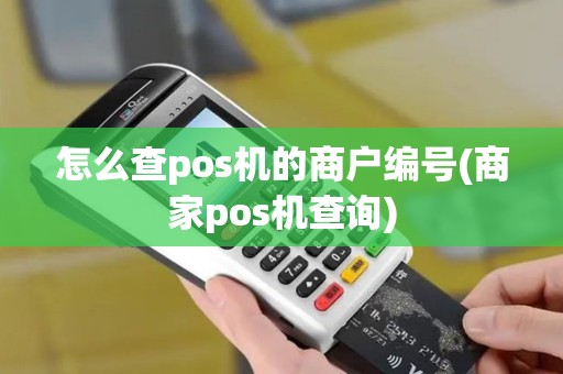 怎么查pos机的商户编号(商家pos机查询)