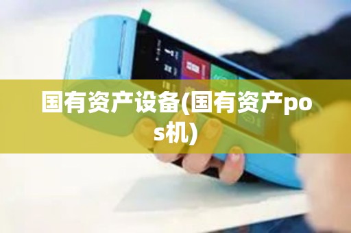 国有资产设备(国有资产pos机)