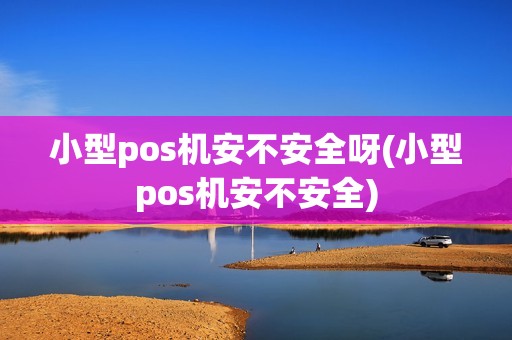 小型pos机安不安全呀(小型pos机安不安全)
