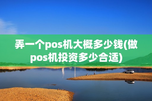 弄一个pos机大概多少钱(做pos机投资多少合适)