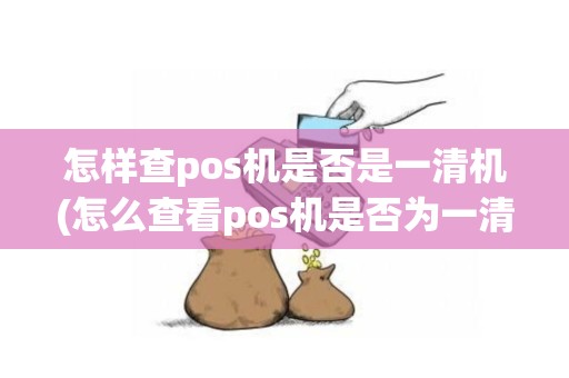 怎样查pos机是否是一清机(怎么查看pos机是否为一清机)