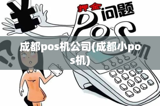 成都pos机公司(成都小pos机)