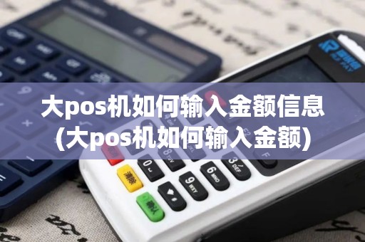 大pos机如何输入金额信息(大pos机如何输入金额)