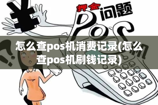 怎么查pos机消费记录(怎么查pos机刷钱记录)