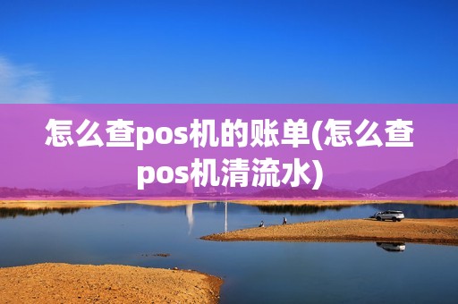 怎么查pos机的账单(怎么查pos机清流水)