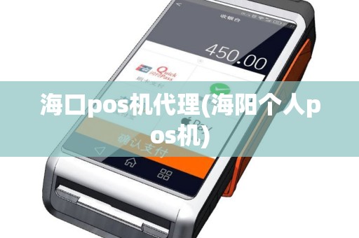 海口pos机代理(海阳个人pos机)