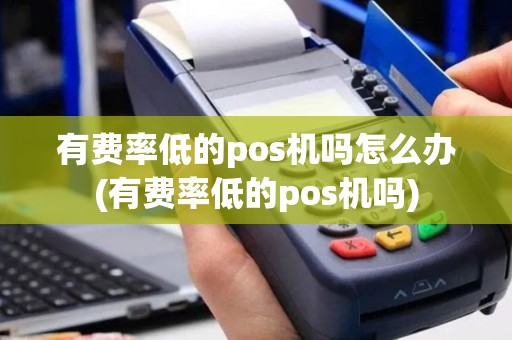 有费率低的pos机吗怎么办(有费率低的pos机吗)