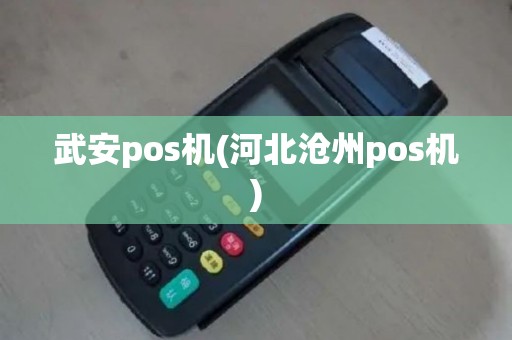 武安pos机(河北沧州pos机)