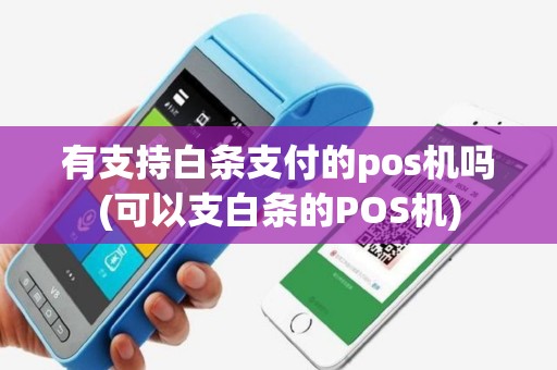有支持白条支付的pos机吗(可以支白条的POS机)
