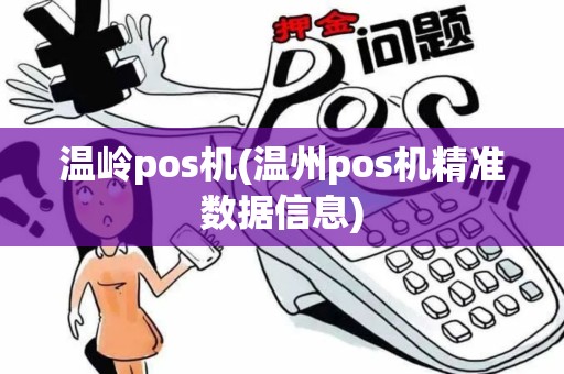 温岭pos机(温州pos机精准数据信息)