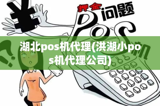 湖北pos机代理(洪湖小pos机代理公司)