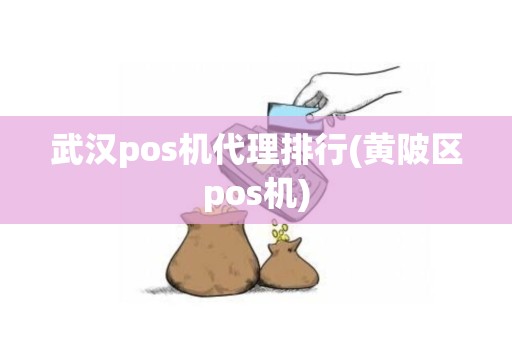 武汉pos机代理排行(黄陂区pos机)
