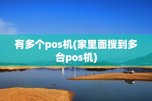 有多个pos机(家里面搜到多台pos机)