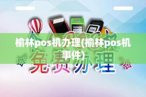 榆林pos机办理(榆林pos机事件)
