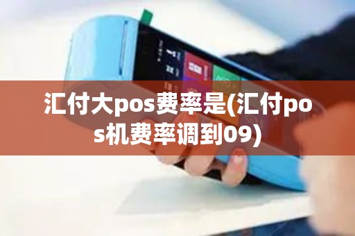 汇付大pos费率是(汇付pos机费率调到09)