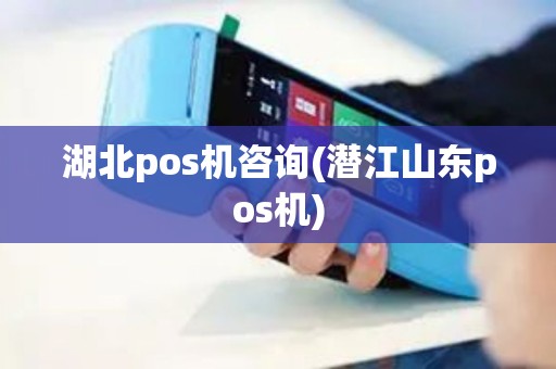 湖北pos机咨询(潜江山东pos机)