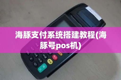 海豚支付系统搭建教程(海豚号pos机)