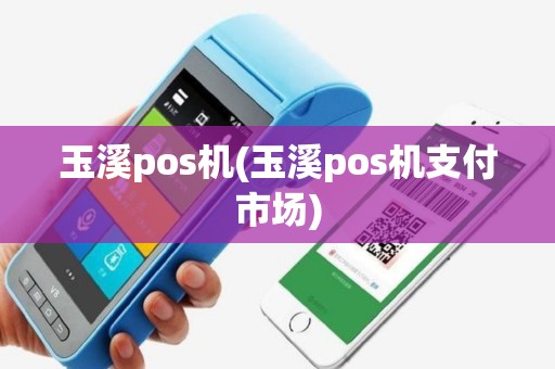玉溪pos机(玉溪pos机支付市场)