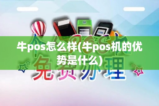 牛pos怎么样(牛pos机的优势是什么)
