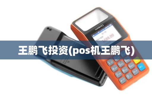 王鹏飞投资(pos机王鹏飞)