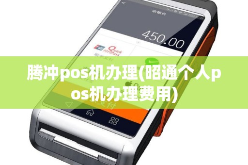 腾冲pos机办理(昭通个人pos机办理费用)