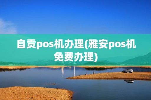 自贡pos机办理(雅安pos机免费办理)