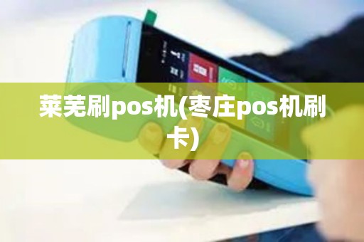 莱芜刷pos机(枣庄pos机刷卡)
