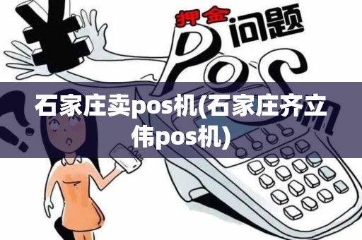 石家庄卖pos机(石家庄齐立伟pos机)