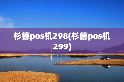 杉德pos机298(杉德pos机299)