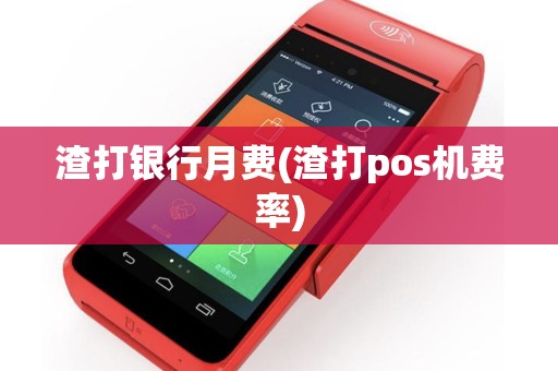 渣打银行月费(渣打pos机费率)