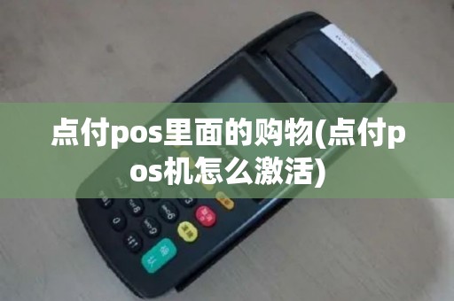 点付pos里面的购物(点付pos机怎么激活)