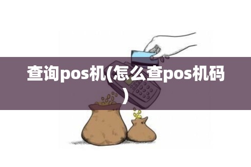 查询pos机(怎么查pos机码)