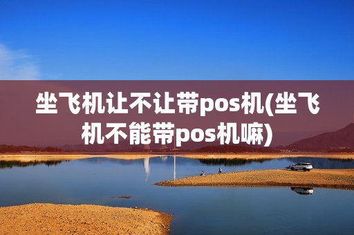 坐飞机让不让带pos机(坐飞机不能带pos机嘛)