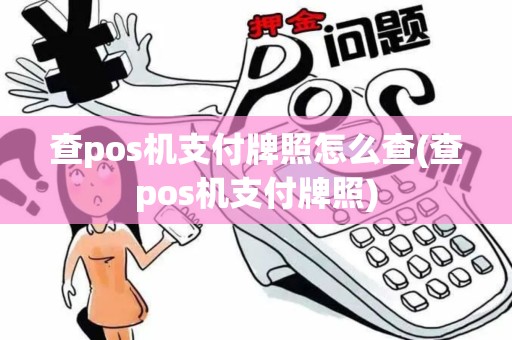 查pos机支付牌照怎么查(查pos机支付牌照)