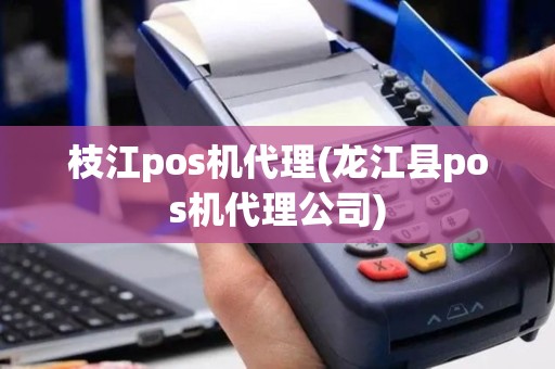 枝江pos机代理(龙江县pos机代理公司)
