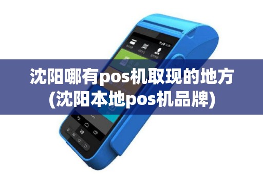 沈阳哪有pos机取现的地方(沈阳本地pos机品牌)