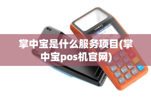 掌中宝是什么服务项目(掌中宝pos机官网)