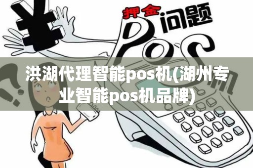 洪湖代理智能pos机(湖州专业智能pos机品牌)