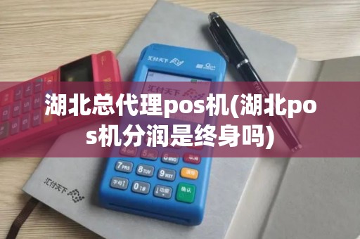 湖北总代理pos机(湖北pos机分润是终身吗)