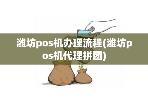 潍坊pos机办理流程(潍坊pos机代理拼团)