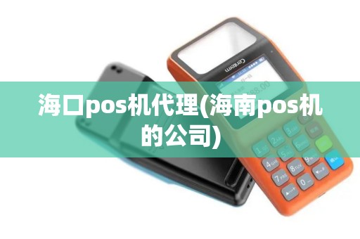 海口pos机代理(海南pos机的公司)