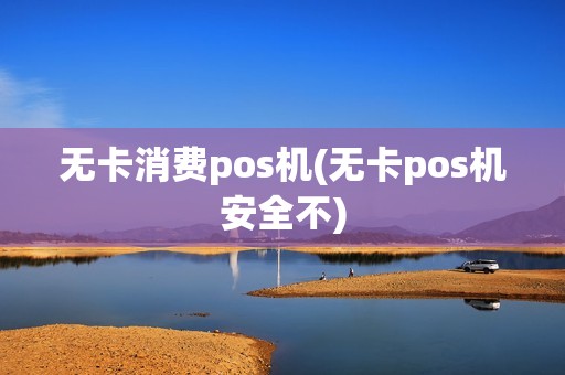 无卡消费pos机(无卡pos机安全不)